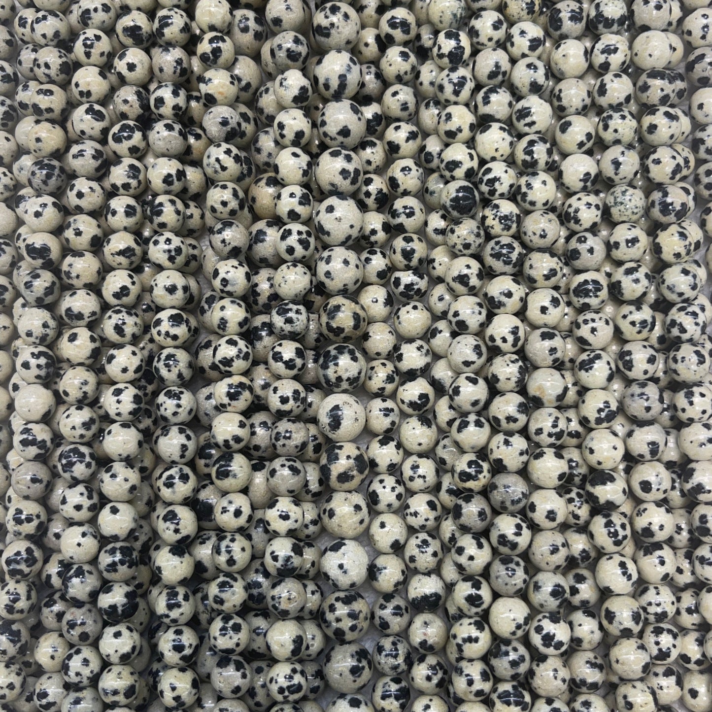 Dalmatian Jasper Round 6mm 8mm